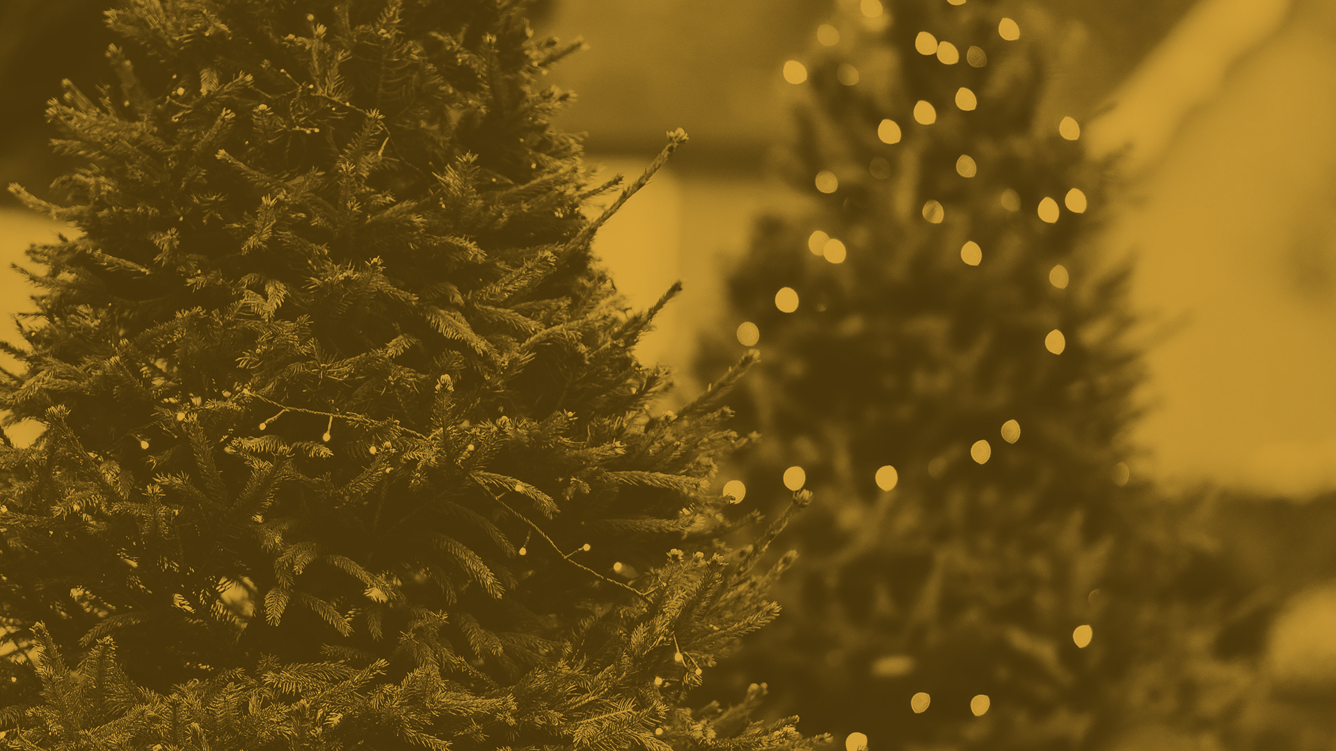 Decorate Carefully this Christmas