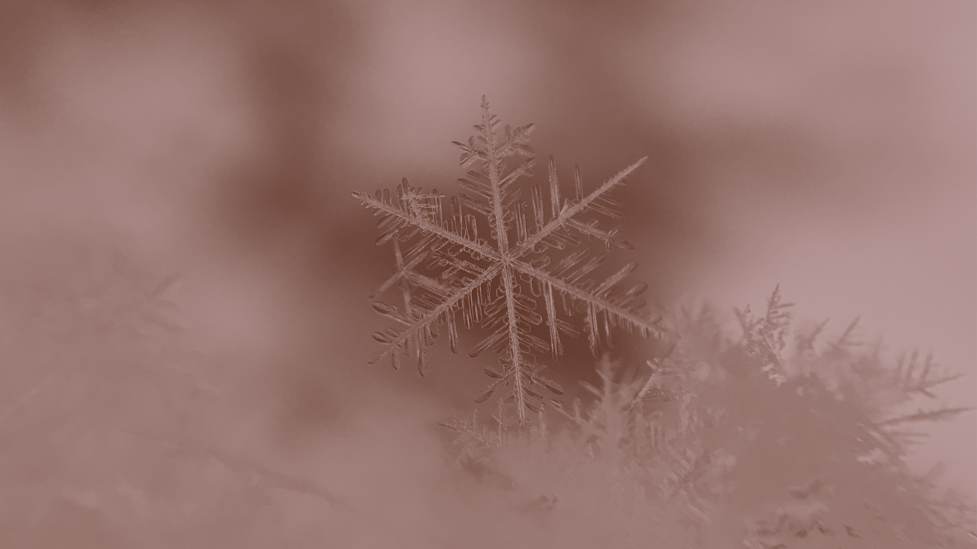 Are You Prepared for Winter?